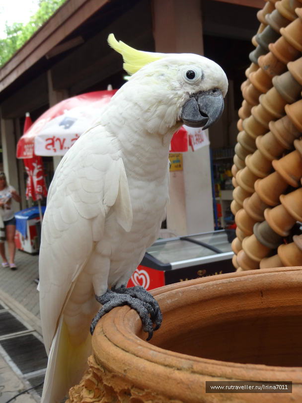 photo 999641