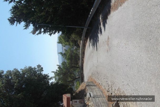 photo 818452