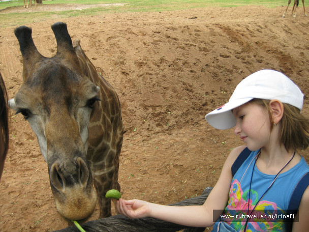 photo 83434