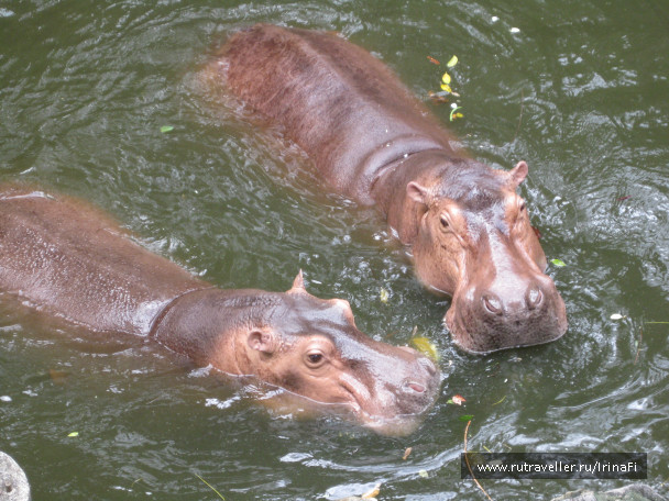 photo 83435