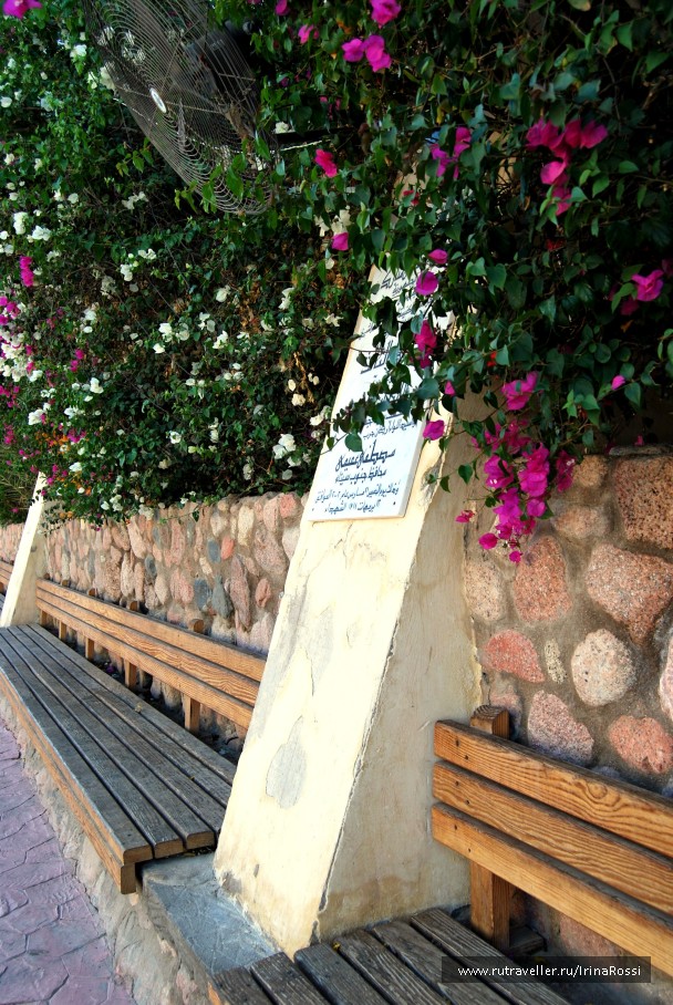 photo 949093