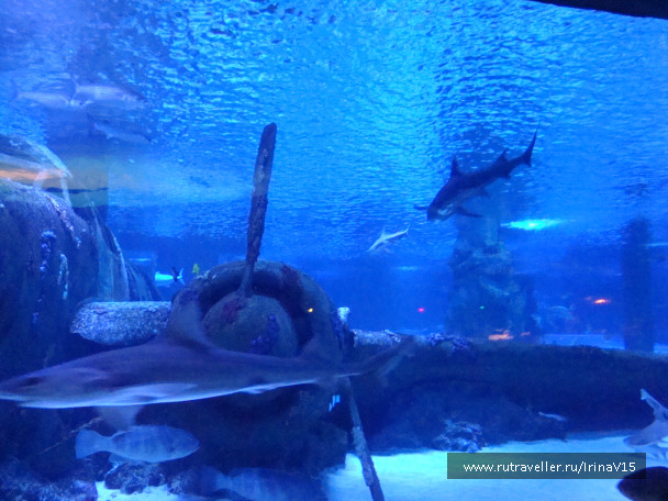 photo 1506792