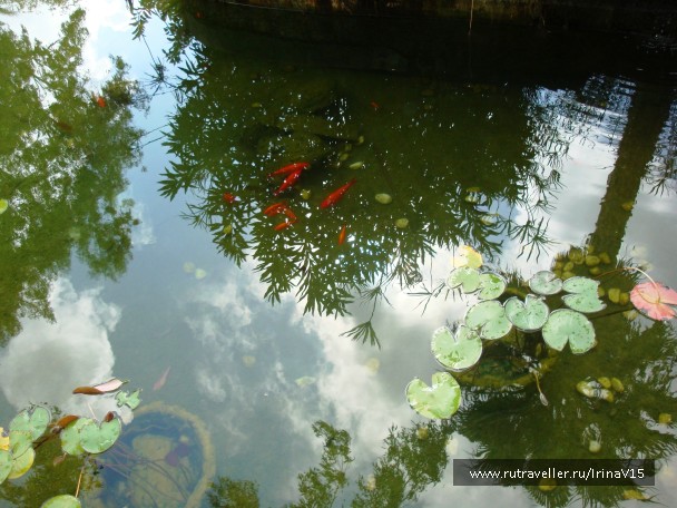 photo 731610