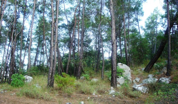 DSC00553
