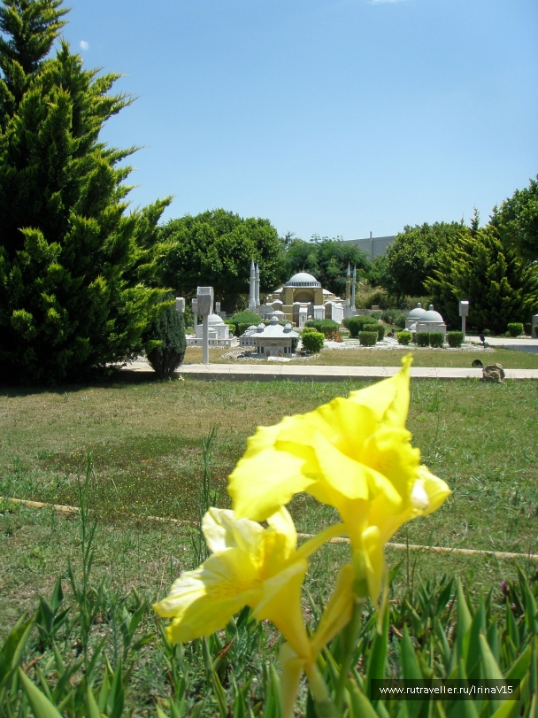 photo 793411