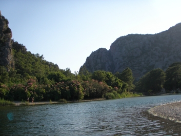 photo 793423