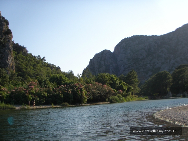 photo 793423
