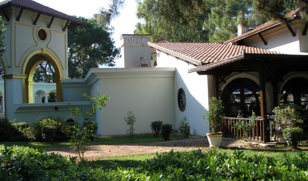 P6236897