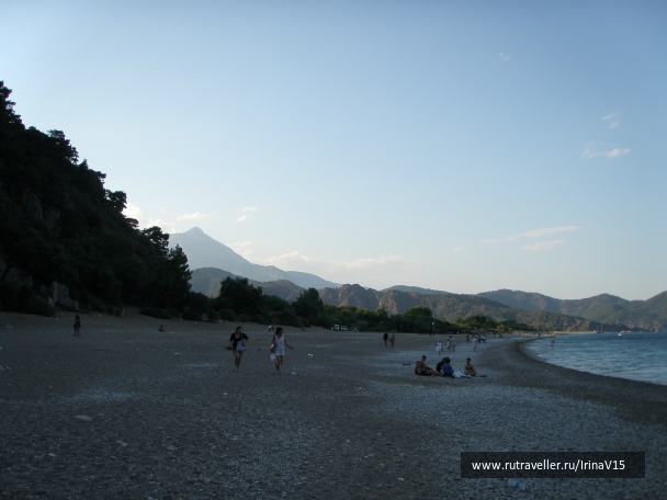photo 798742