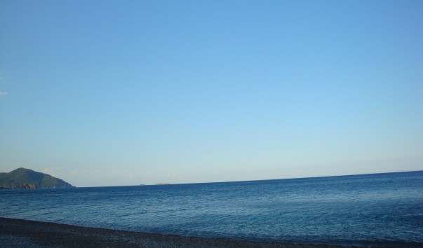 DSC00548