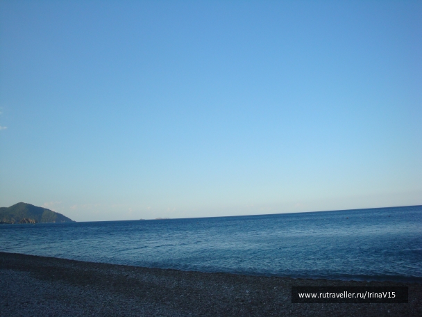 photo 798744