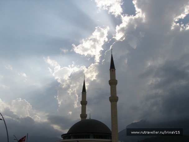photo 798746