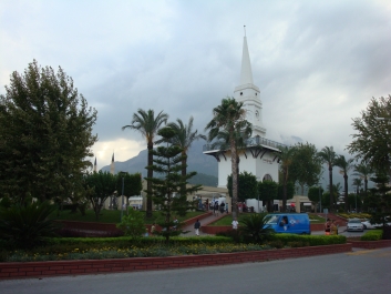photo 798761