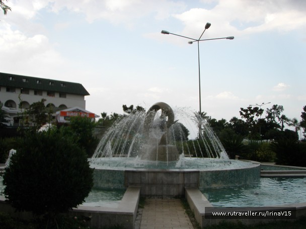 photo 798767