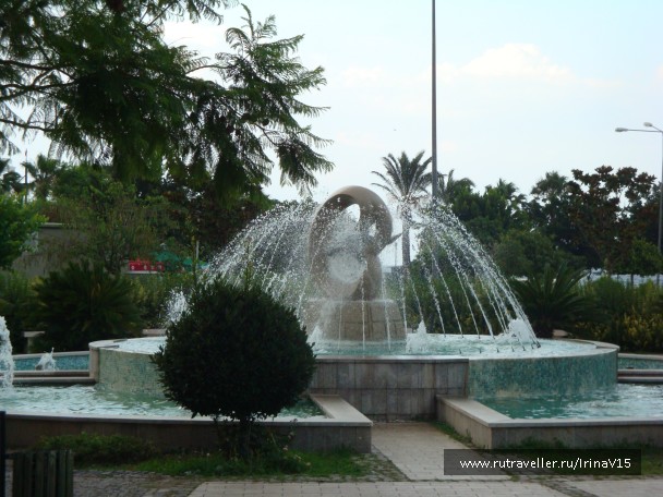 photo 798774