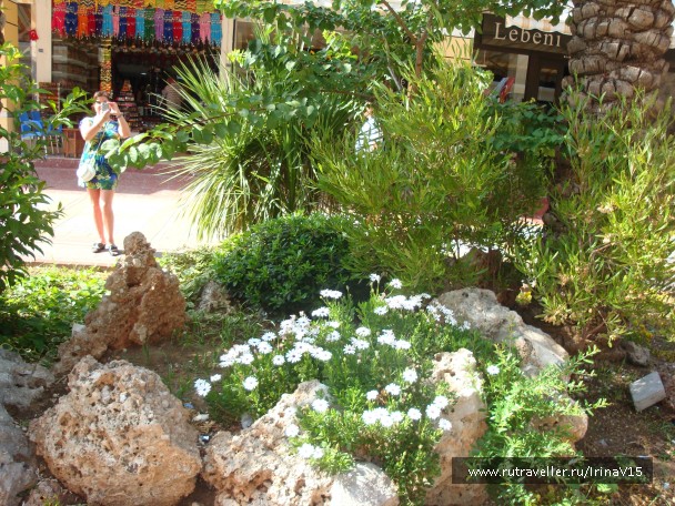 photo 798777