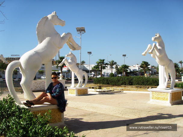 photo 1463574