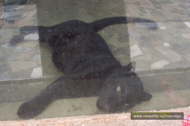 photo 483722