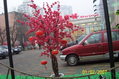 photo 483741