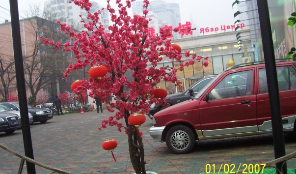 5215dc0255010.jpg