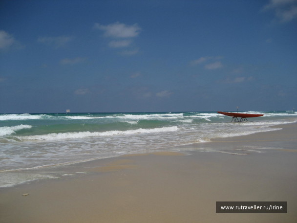 photo 20095