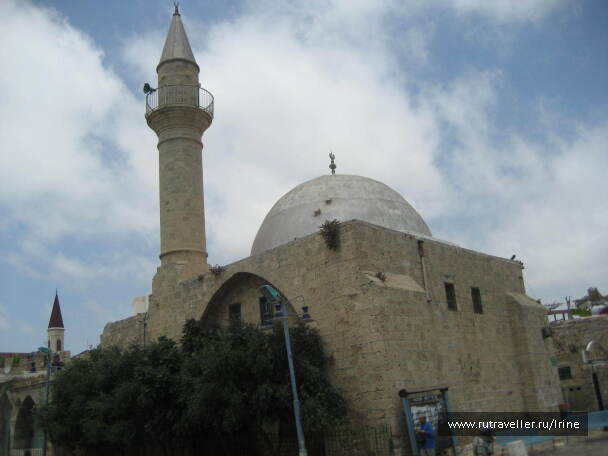 photo 20103