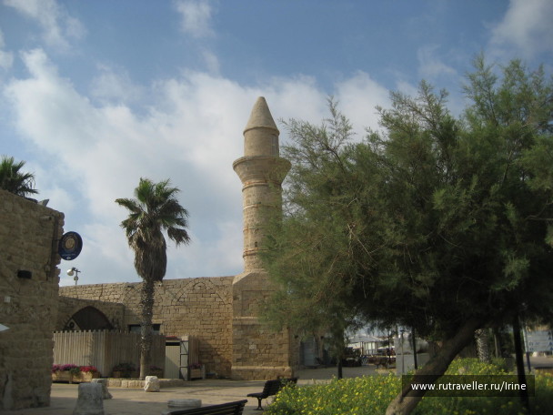 photo 20108