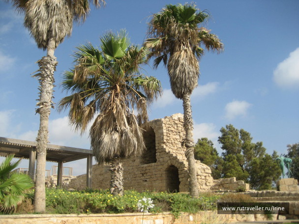 photo 20109