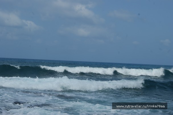 photo 887346