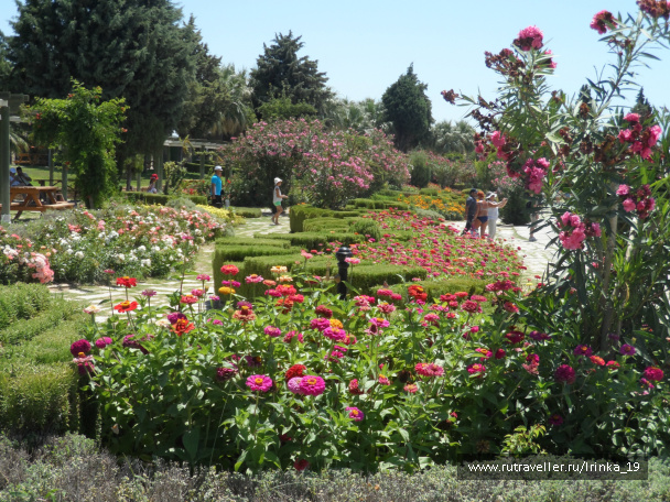 photo 465091