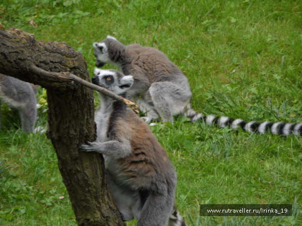 photo 1066309