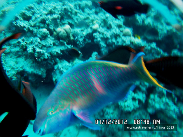 photo 331650