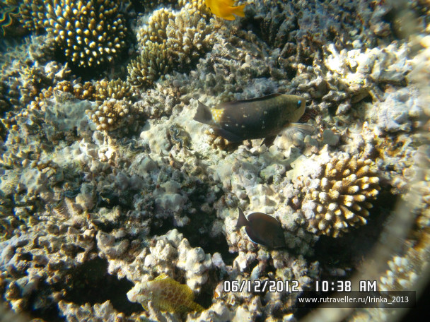photo 331659