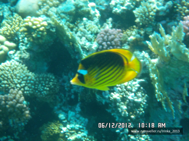 photo 331664