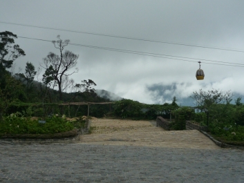 photo 963411