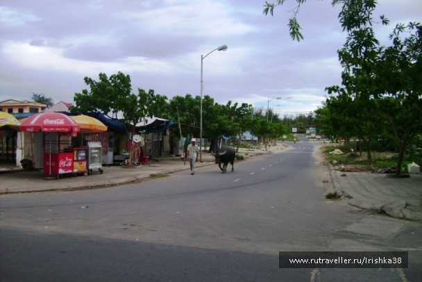 photo 963422