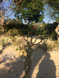 photo 1742345