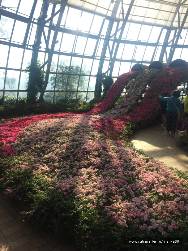 photo 1742348