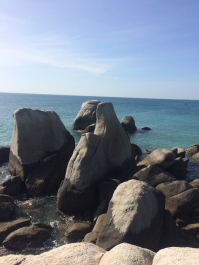 photo 1742349