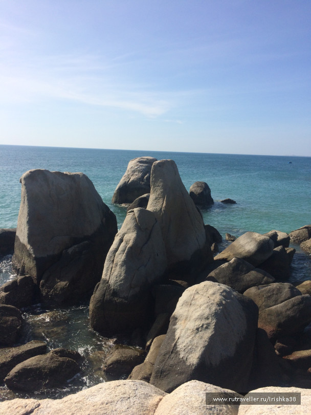 photo 1742349