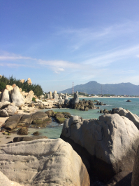photo 1742351