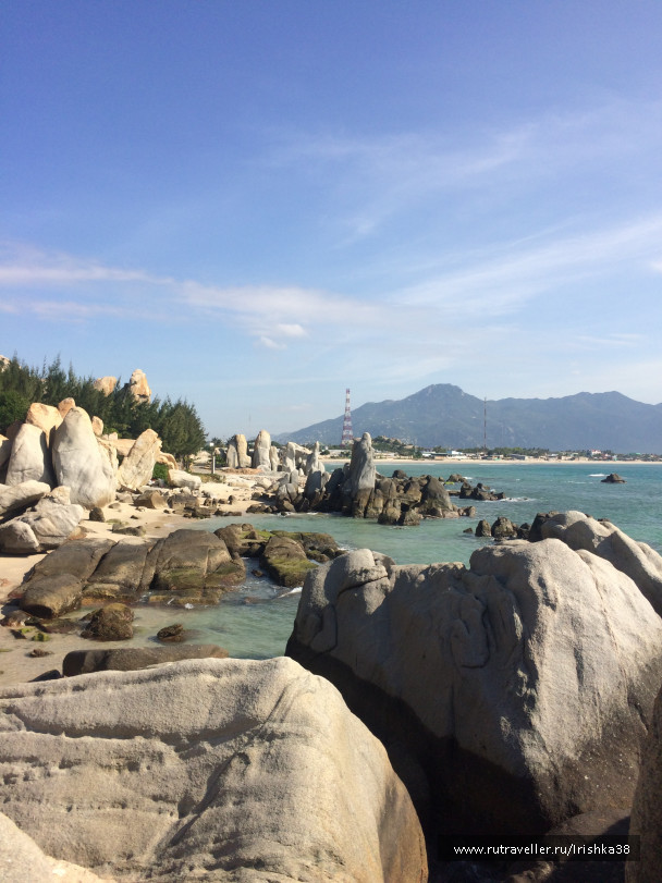 photo 1742351