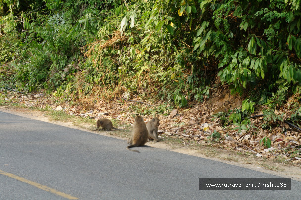photo 1338603