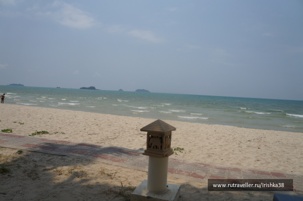 photo 1338637