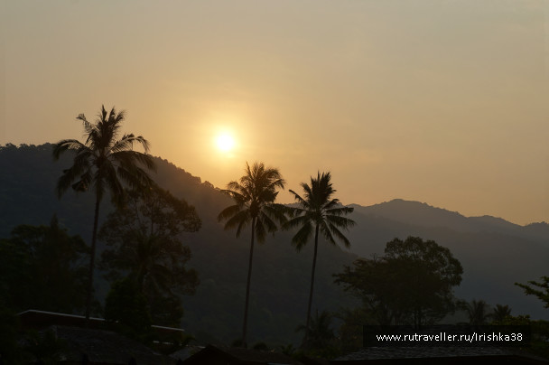photo 1338642