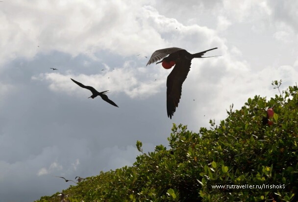 photo 203184
