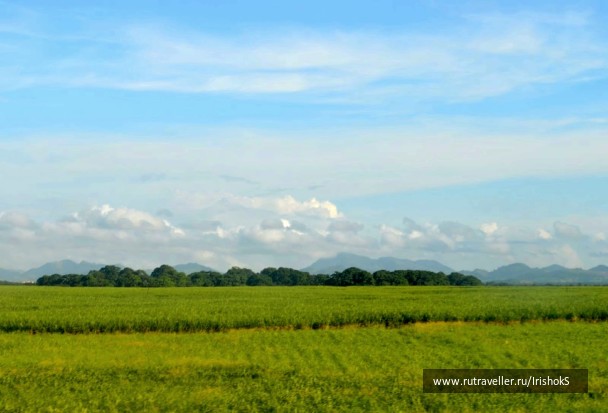 photo 203227