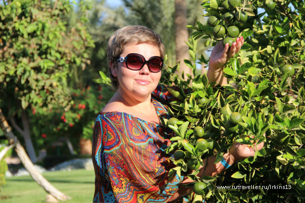 photo 487858
