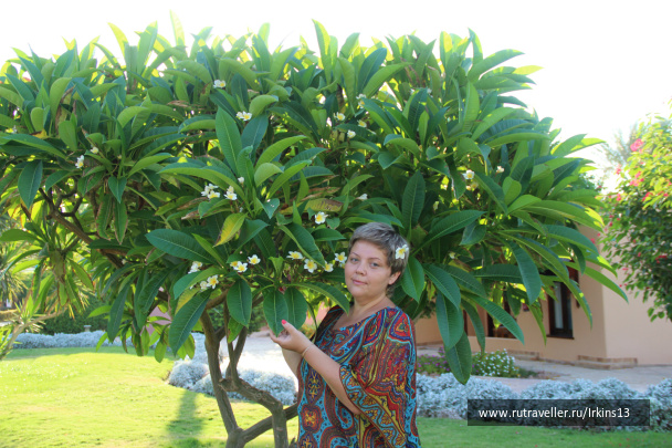 photo 487862