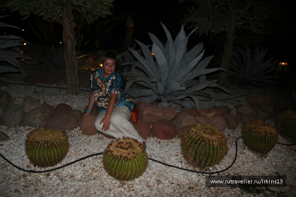 photo 487863
